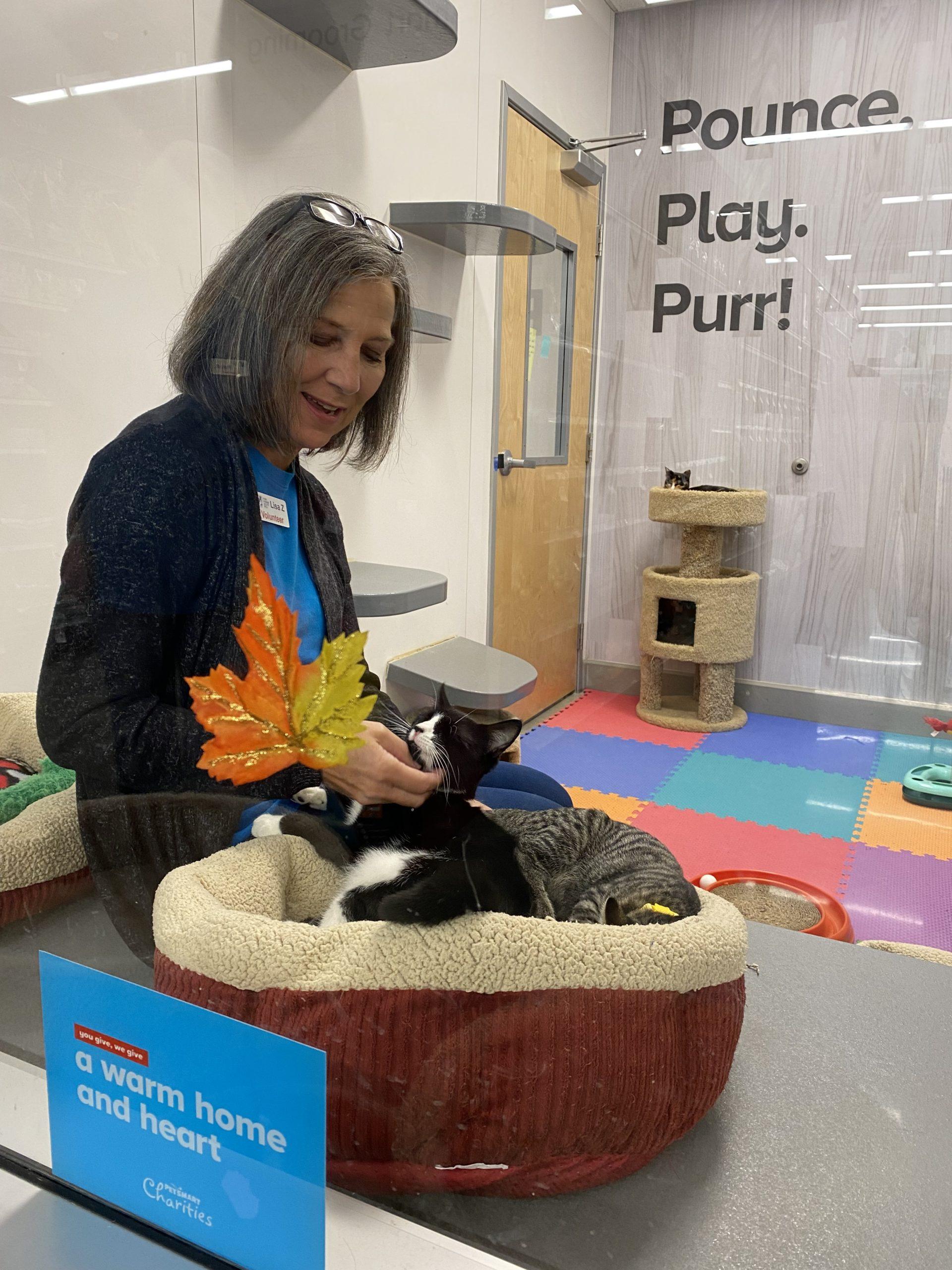 YHSSPCA Volunteer Lisa Zeller PetSmart Kittens 2021